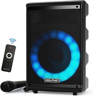 Dolphin SP-807RBT Bluetooth Karaoke Speaker