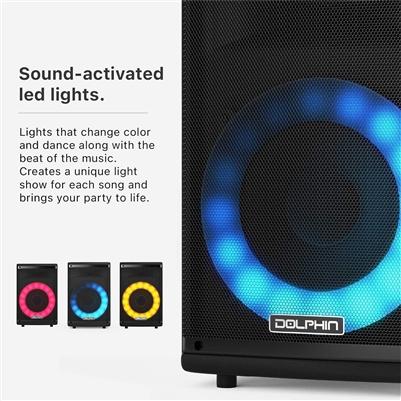 Dolphin SP-807RBT Bluetooth Karaoke Speaker, photo 4 of 5
