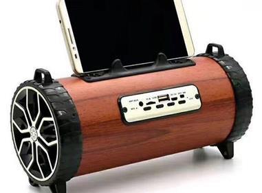 Powerful 10W Portable Bluetooth Speaker with Deep Bass, FM Radio & Multi-Mode Connectivity product