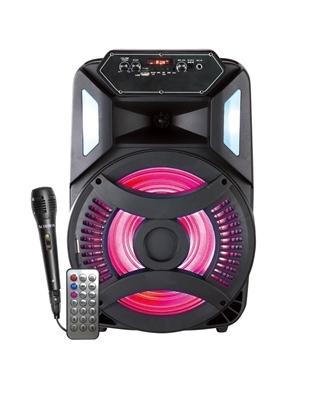 Audiobox 12' Portable PA Speaker