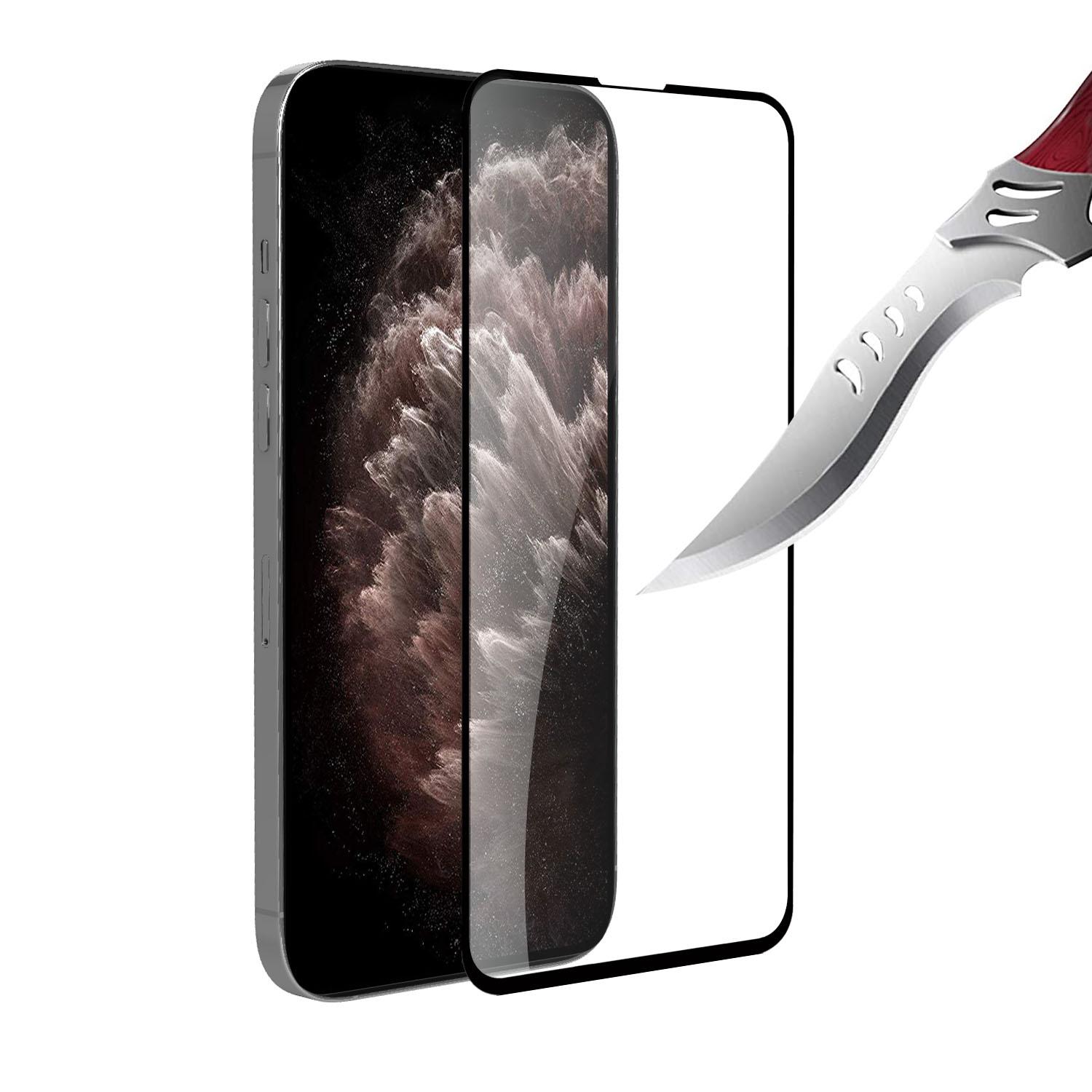 iPhone 13/13 Pro/14 Black edged Tempered Glass (Black)