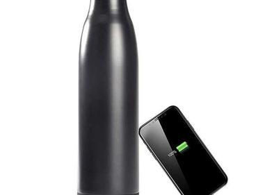 TYLT INSULATED WATER BOTTLE with Portable Power Bank (Integrated Charger) product